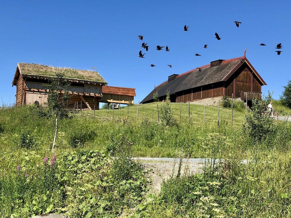 Scandic Stiklestad Verdalsora Bagian luar foto